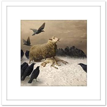White Framed “Anguish” Sheep & Crow Painting – 8x8