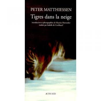 Tigres dans la neige (Terres d'Aventure)