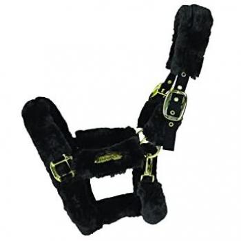 Kentucky Horsewear Pony Halter