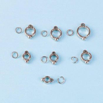 Anillos de Correa para Pájaros
