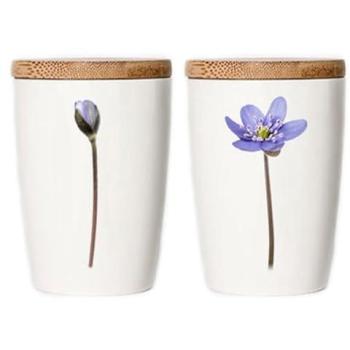 Simply Flowers Leberblümchen‑Tasse – Familiengröße 300 ml