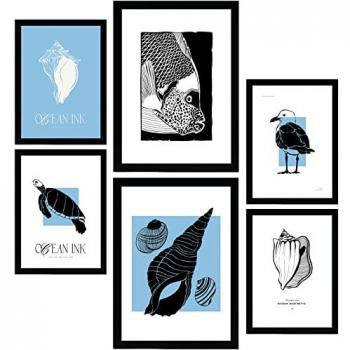 Pack de 6 Posters de Conchas Marinas