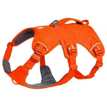 Ruffwear Web Master Blaze S – All‑Gender