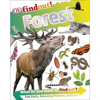DKfindout! Forest