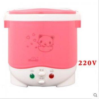 Compact Rice Cooker 1L