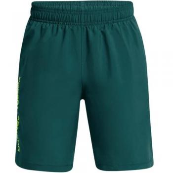 Under Armour Boys' Woven Wordmark Shorts