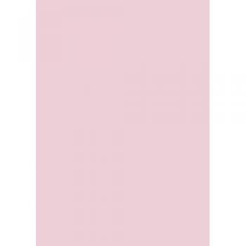 Carton couleur rose clair 50x70 300g