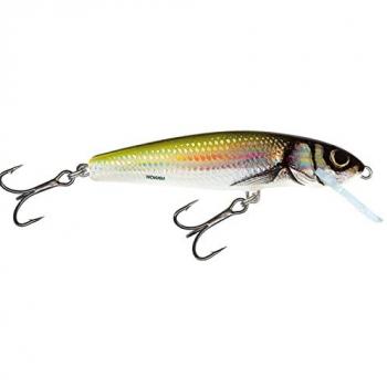 Nageur Salmo Minnow Holo Bleak – Modèle M6S