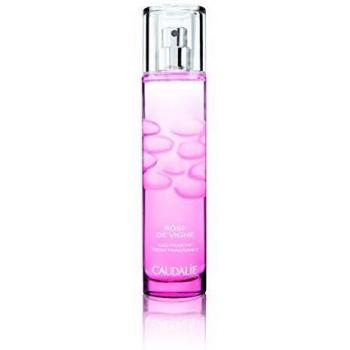 Caudalie Thé des Vignes Intense