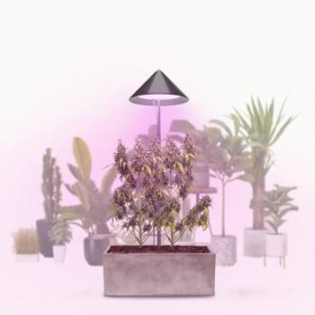 Vollspektrum Grow Light 30W