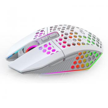 Wireless Ergonomic Gaming Mouse with RGB Luminous Features