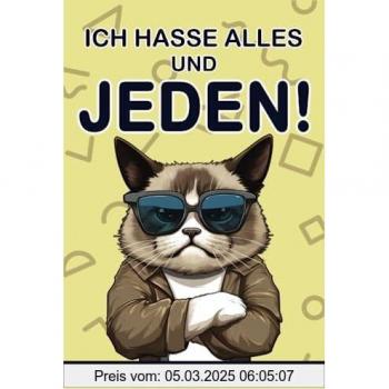 Moritz von Stein Ich Hasse Alles Und Jeden: Das Humorvolle Arbeitsbuch Für Eine Positive Perspektive