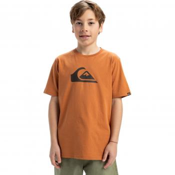 Quiksilver EV Comp Logo T-Shirt für Kids 8-16 Braun