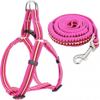 Reflective Nylon Dog Harness and Leash Set for Medium Large Breeds