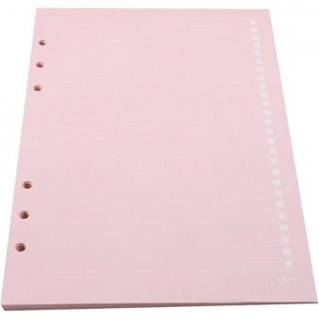 Cuaderno Repuesto 6 Agujeros Planificador