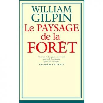 Le Paysage De La Forêt