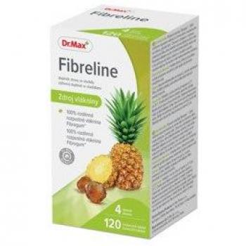 Doplňky stravy Dr.Max Fibreline 120 tablet