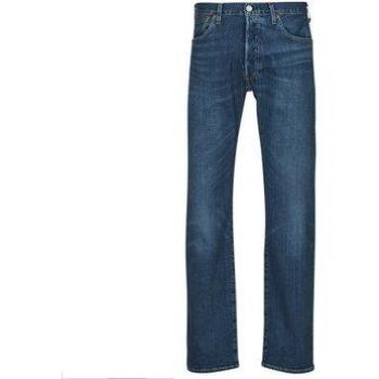 JEANS 501 REGOLARE