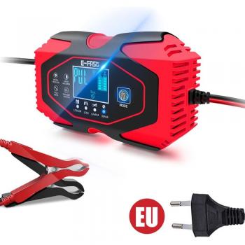 Lood-zuur en Lithium Batterij Oplader met LCD 12V 6A 24V 3A