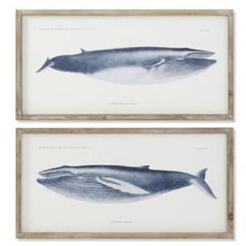 Cadre ESPRIT Walframe 70 x 2,5 x 35 cm (2 Unités)