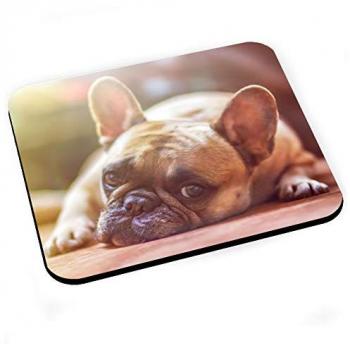 Tapis de souris Carlin Pug : nature et lumière solaire