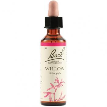 WILLOW Bach 38 Versión Original – 20 ml