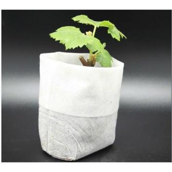200 pcs plant-fiber seedling bags 8x10cm