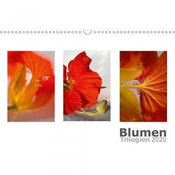 Blumen Trilogien