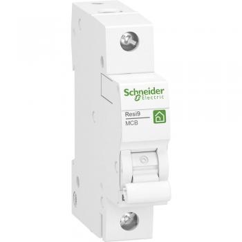 Disjoncteur de protection Schneider Electric R9F23116 16 A 230 V