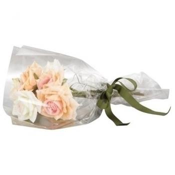 Caja de Regalo Colibrí Transparente 60x15