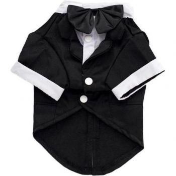 Veste pour chien