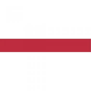 Satin Red Bias Binding Ribbon – Prym Duchess