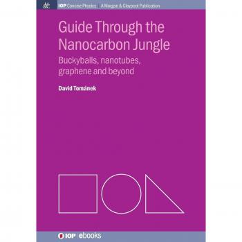 Guide Through the Nanocarbon Jungle: Buckyballs, nanotubes, graphene and beyond