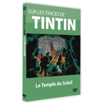Tintin : Exploration au Temple du Soleil