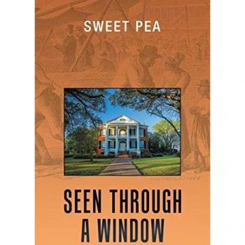 Seen through a Window