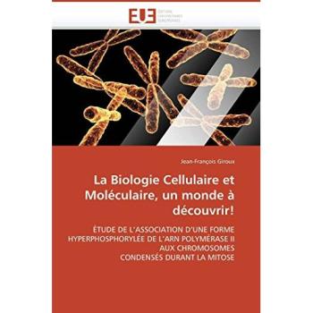 La Biologie Cellulaire et Moléculaire, un monde à découvrir!: ÉTUDE DE L’ASSOCIATION D’UNE FORME HYPERPHOSPHORYLÉE DE L’ARN POLYMÉRASE II AUX CHROMOSOMES CONDENSÉS DURANT LA MITOSE