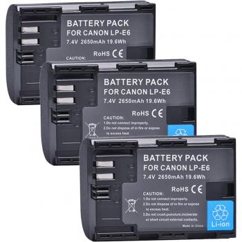 LP-E6 2650mAh Battery Pack and Dual Charger for Canon EOS 5DS R, Mark II/III/IV, 6D, 60D, 7D Series
