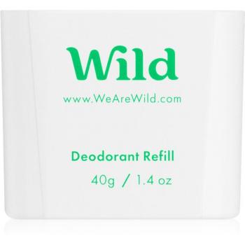 Recharge déodorant menthe sauvage et aloe vera 40 g