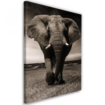 Toile d'Afrique Monochrome