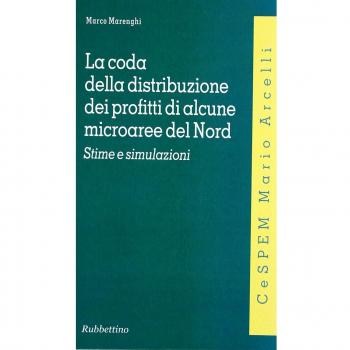 La coda della distribuzione dei profitti di alcune microaree del Nord. Stime e simulazioni