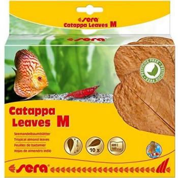 Hojas Catappa M