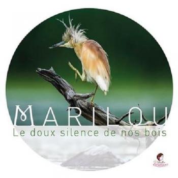 Doux Silence de Nos Bois