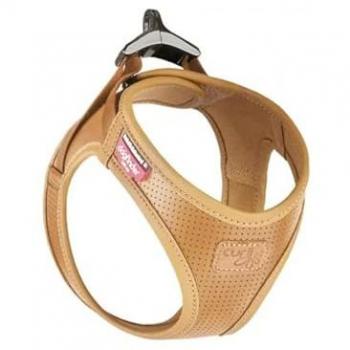 Eco‑Curli Brown 3XS Canine Strap
