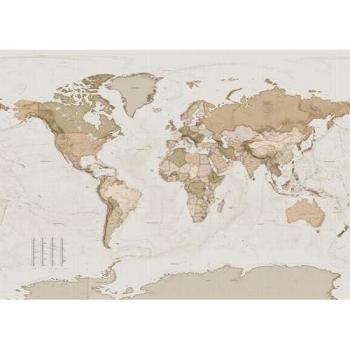 World Map Wall Covering Design