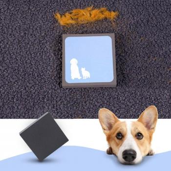 Nettoyeur de Tapis à Mousse pour Animaux