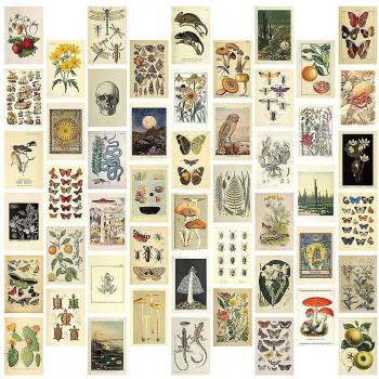 Affiches Miniatures Botaniques – Kit Vintage