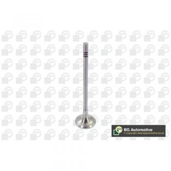 Exhaust Valve for BGA V200611