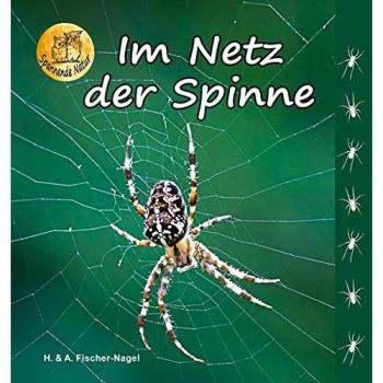 Heiderose Fischer-Nagel Im Netz Der Spinne