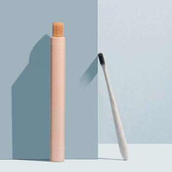 Outdoor Brush Safe