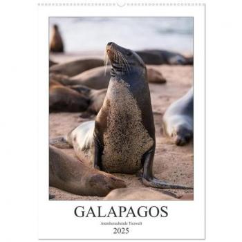 Galapagos
